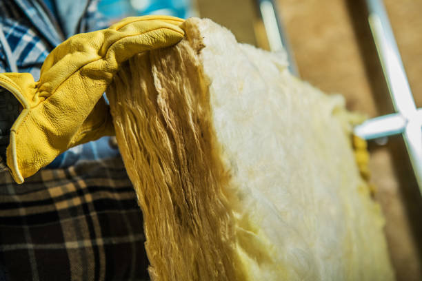 Best Insulation Installation Services in Lake Park, FL