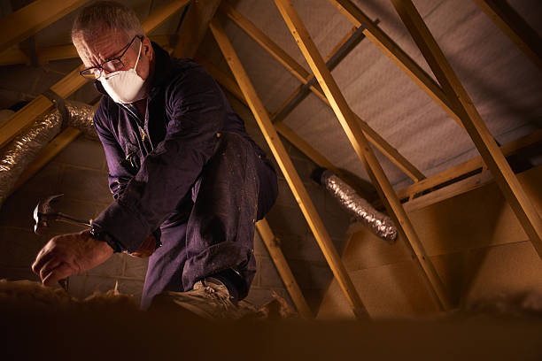 Best Commercial Insulation in Lake Park, FL